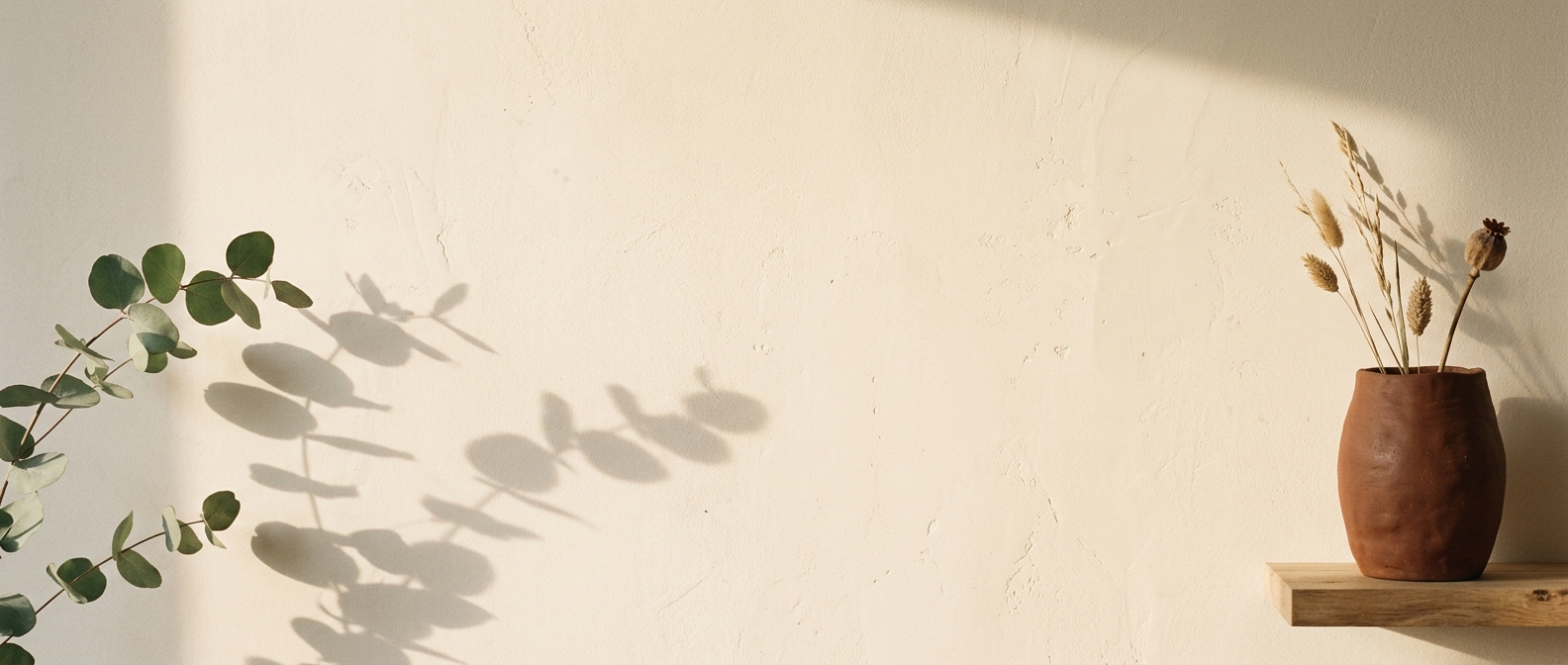 Morning light on a warm cream wall